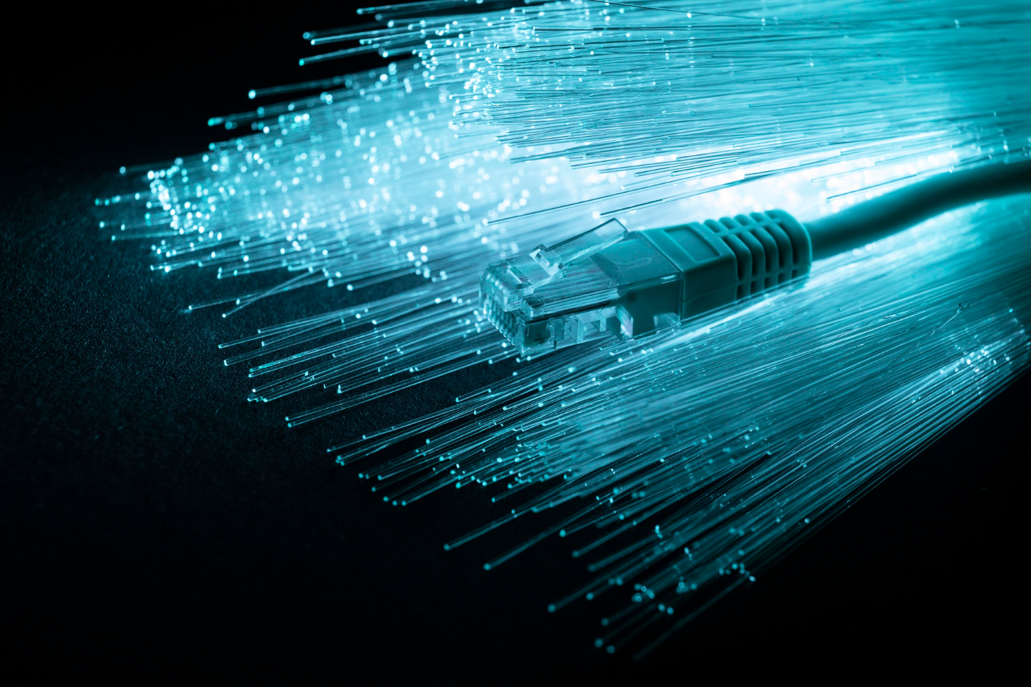 Fiber & Infrastructure